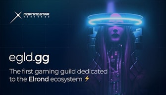 Morningstar Ventures launches Egld.gg, the first gaming guild dedicated To the Elrond ecosystem