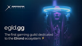 Morningstar Ventures launches Egld.gg, the first gaming guild dedicated To the Elrond ecosystem