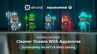 Builders Spotlight: Cleaner Oceans With Aquaverse Sustainability Projects Fueled By NFTs And Web3 Gaming