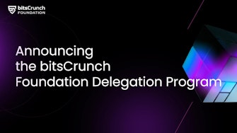 bitsCrunch introduces bitsCrunch Foundation Delegation Program.