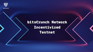 bitsCrunch launches new incentivized Testnet to attract the participation of operators, projects, and users to help test the network. 